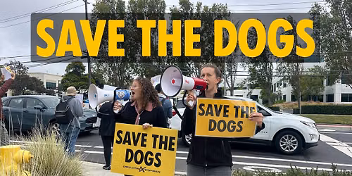 Save the Dogs Protest at Comparative Biosciences