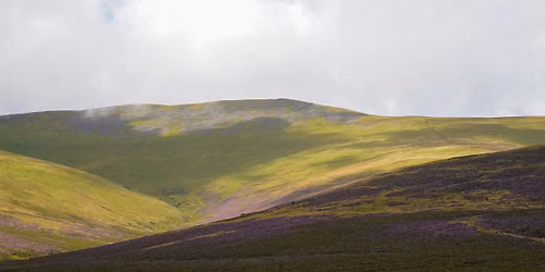 Skiddaw Tree Seed Processing