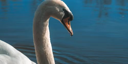 Photography on the Waterways