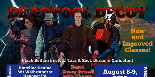 Deadpool Decoy Basic Foundational Decoy School