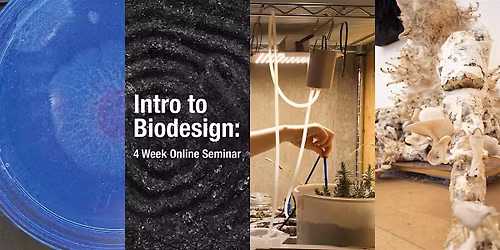 Intro to Biodesign ONLINE - Tuesdays