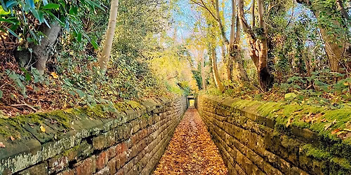 Walk Tonbridge Club: Somerhill and The Postern