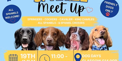 \ud83d\udc9b\ud83d\udc3e Spaniels Meet Up - Glasgow \ud83d\udc3e\ud83d\udc9b