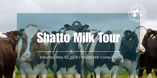 Shatto Milk Tour