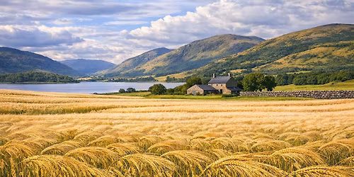 The Future of Barley: Resilience Against Climate Change