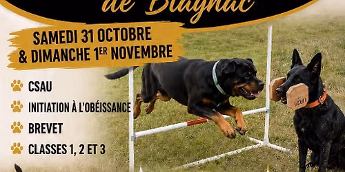 Concours Ob\u00e9issance