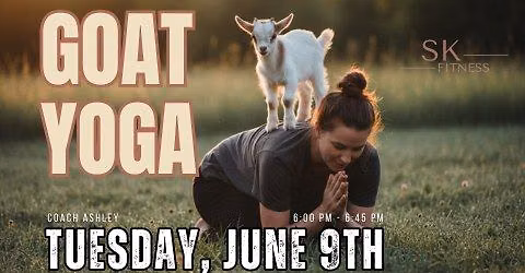 Goat Yoga 🐐🧘‍♀️