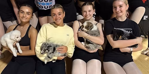 Puppy Yoga Rochester