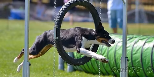 K\u00f6zt\u00e1rsas\u00e1g Kupa 2026.