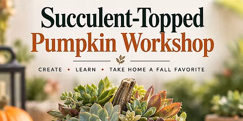 Succulent-Topped Pumpkin Workshop - PaloAlto