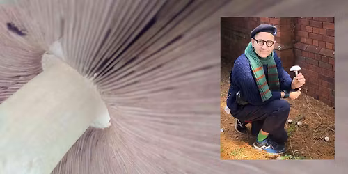 First-time Fungi Quest - FREE FOR KIDS