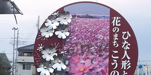 \u52dd\u624b\u306b\u8352\u5dddRJ \u30b3\u30fc\u30b9\u30de\u30e9\u30cb\u30c3\u30af20261\uff062