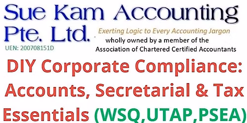 WSQ DIY Corporate Compliance: Accounts, Secretarial & Tax Essentials
