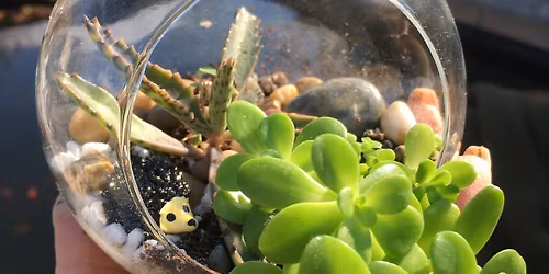 Tiny Gardens Workshop