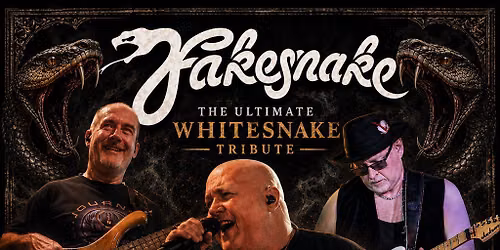 Fakesnake (Whitesnake Tribute): Live at Holy Diver