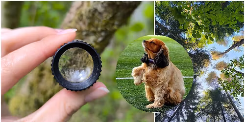 Ekskursija: \u201e\u017daliosios Kauno gamtos paslaptys\u201c (kvie\u010diami ir augintiniai)