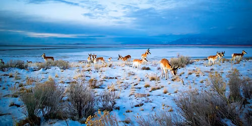 Landscape and Wildlife Photography Meetup