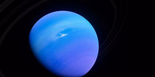 \ud83c\udf0c\ud83c\udf3fHerbalism Through the Cosmos: Neptune Direct