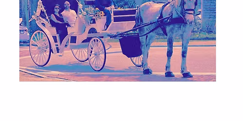 Wickford Wicked Week Carriage Rides (slightly spooky!)