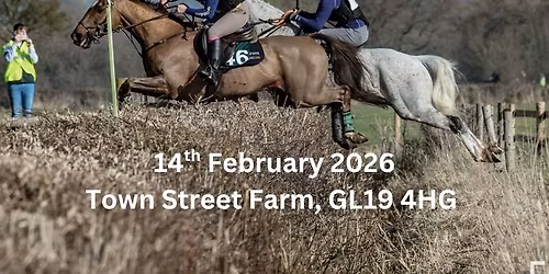 The Equestrian Notice Board Golden Button challenge 2026