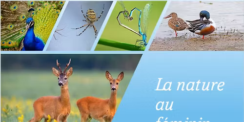 La Nature au f\u00e9minin 