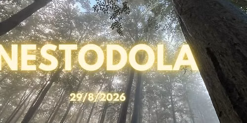 NeSTODOLA 2026