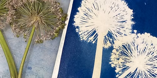Sunday in the Gallery - Cyanotypes with Kris Stewart