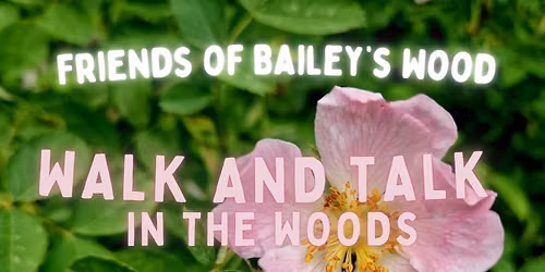Walk and Talk in the Woods