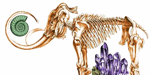 SMFS Meeting : Swap, Shop, Bring and buy