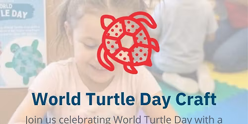 World Turtle Day Craft 