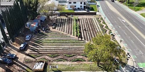 Call to Action 2.0 for Three Sisters Gardens