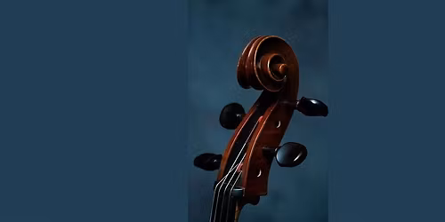 Young musicians concert no.5