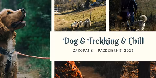 Dog & Trekking & Chill - Zakopane 2026