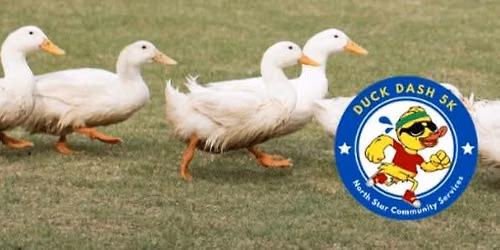 Duck Dash 5K Run\/Walk & Kid's Fun Run
