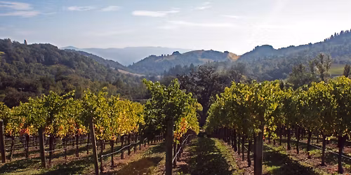 Napa Ed Day