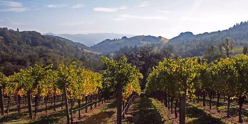 Napa Ed Day 