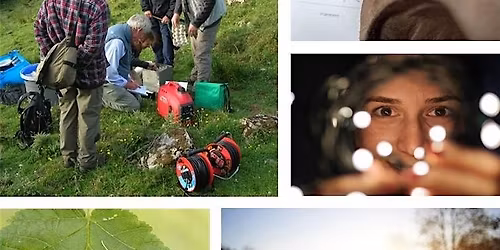 NIRD(s) Northern Ireland Recorders Day (Species)