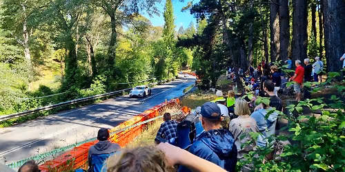 2025 Shannons Adelaide Rally Wairoa Special Stage