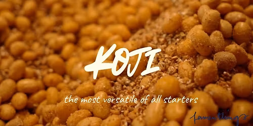 INTRODUCTION TO KOJI, THE MOST VERSATILE FERMENTATION STARTER