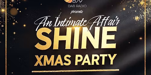 An Intimate Affair 3 - The Shine Xmas Party
