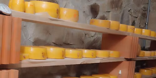 kurz Bochn\u00edky - tvrd\u00e9 zraj\u00edc\u00ed s\u00fdry