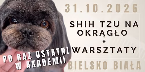 Shih Tzu na okr\u0105g\u0142o + warsztaty!