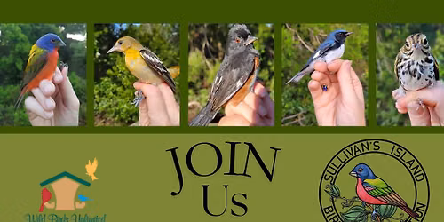 Bird Talk with Sullivan's Island Bird Banding Station