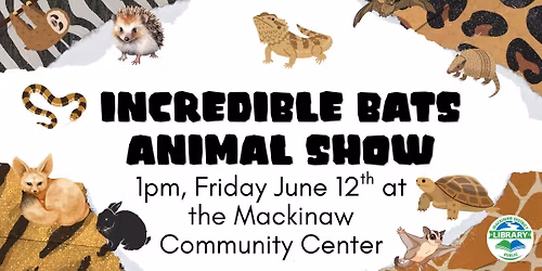 Incredible Bats Animal Show