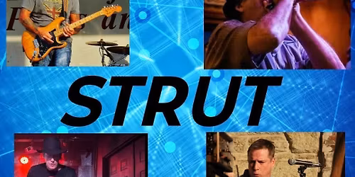 STRUT (of SWFL) at THE BEAN