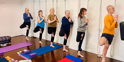 Begin Yoga the Iyengar way 