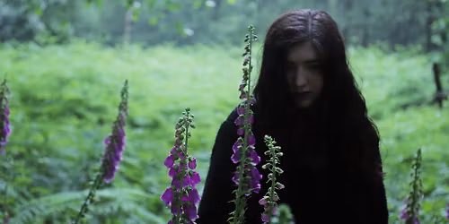 Weedipus - Album Launch