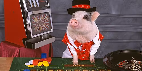 Clark County Vegas Nights Pig Show