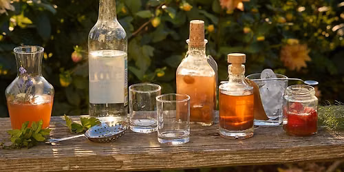 Forage & Ferment with Rachel De Thample