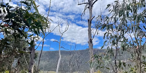 2026 ACT Paddy Pallin 6hr Rogaine